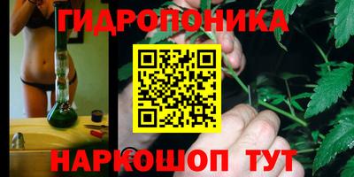 spice Заводоуковск