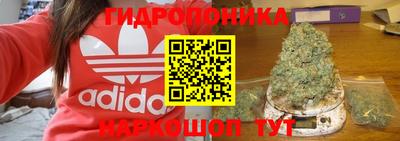 spice Заводоуковск