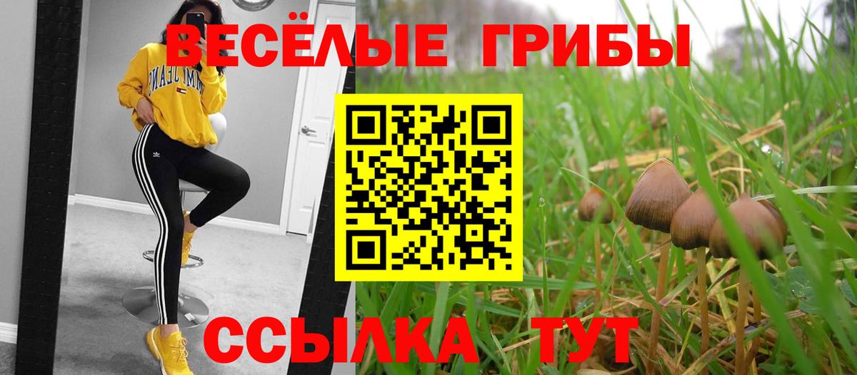 даркнет сайт  Галлюциногенные грибы GOLDEN TEACHER  Вход с VPN  Люберцы 
